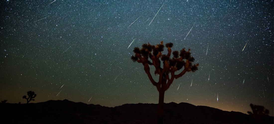 joshuatree-meteorshower1